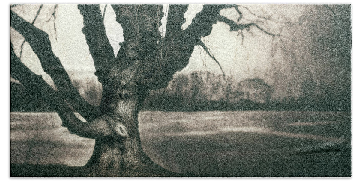 Gnarled Bath Sheet featuring the photograph Gnarled Old Tree by Scott Norris
