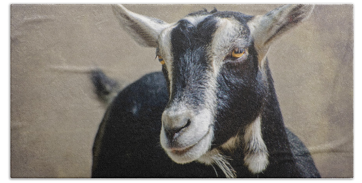 Goat Bath Towel featuring the photograph Goat 2 by Susan McMenamin