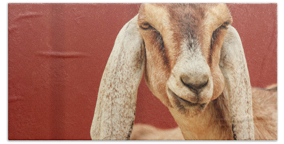 Animal Hand Towel featuring the photograph Goat With an Attitude by Joni Eskridge