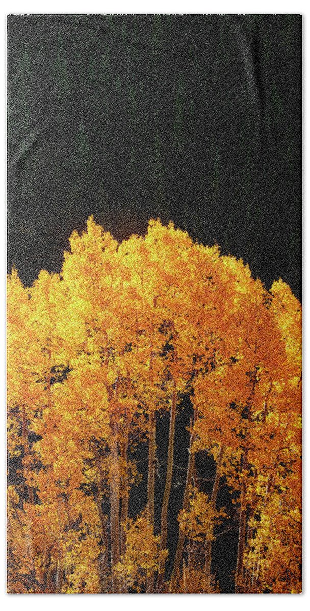 Autumn Bath Towel featuring the photograph Golden Autumn by Andrew Soundarajan
