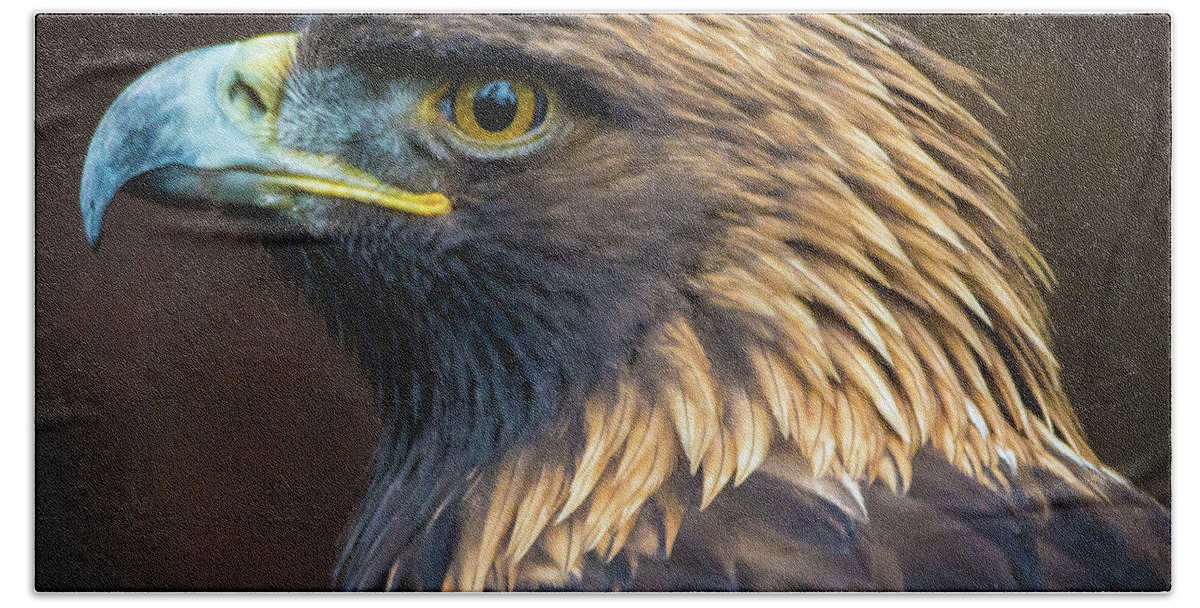 Eagles Bath Towel featuring the photograph Golden Eagle 2 by Jason Brooks