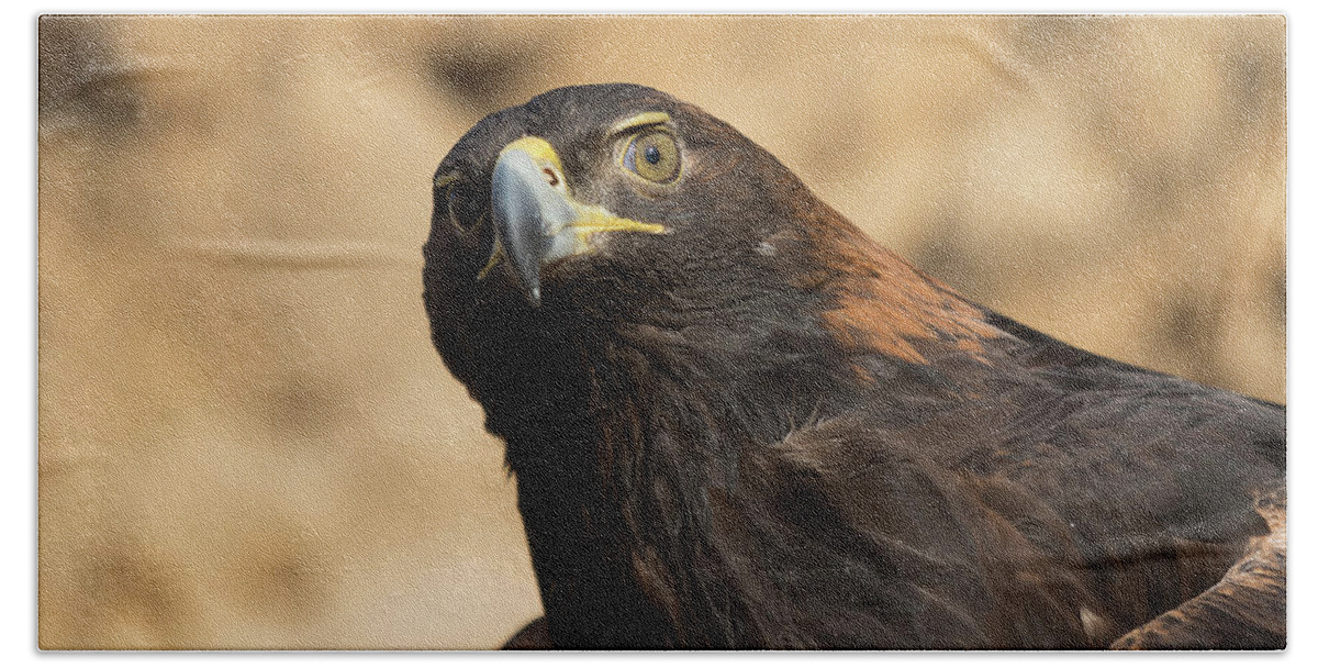 Eagle Bath Towel featuring the photograph Golden Eagle Keeps Watch by Tony Hake