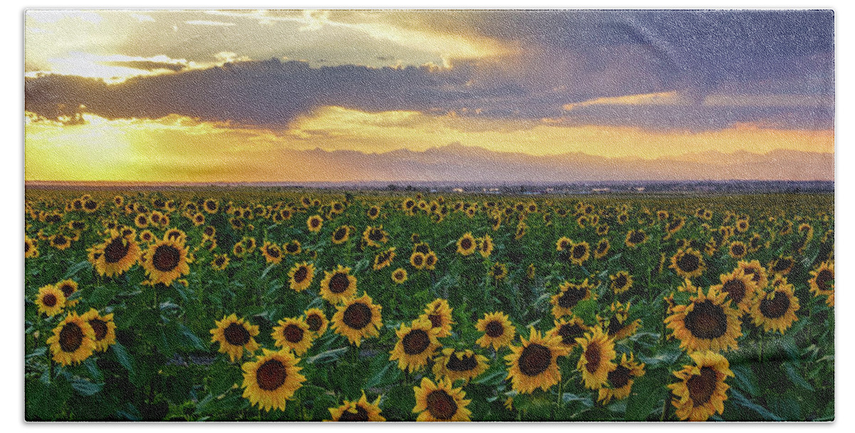 Colorado Bath Towel featuring the photograph Golden Hour Across The Sunflower Fields by John De Bord