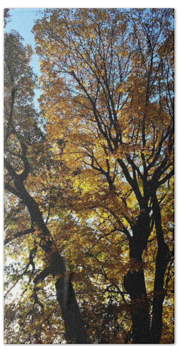 Landscape Hand Towel featuring the photograph Golden Fall by Leara Nicole Morris-Clark