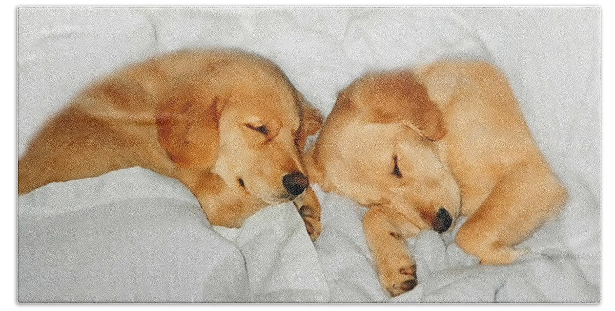 Puppies Bath Sheet featuring the photograph Golden Retriever Dog Puppies Sleeping by Jennie Marie Schell