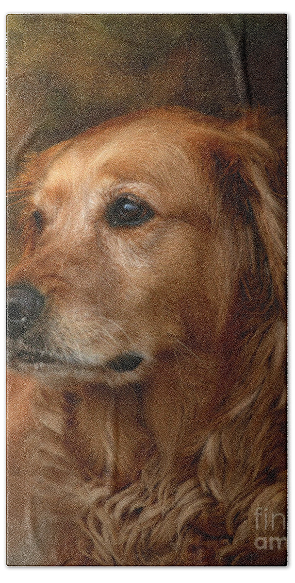 Dog Bath Sheet featuring the photograph Golden Retriever by Jan Piller