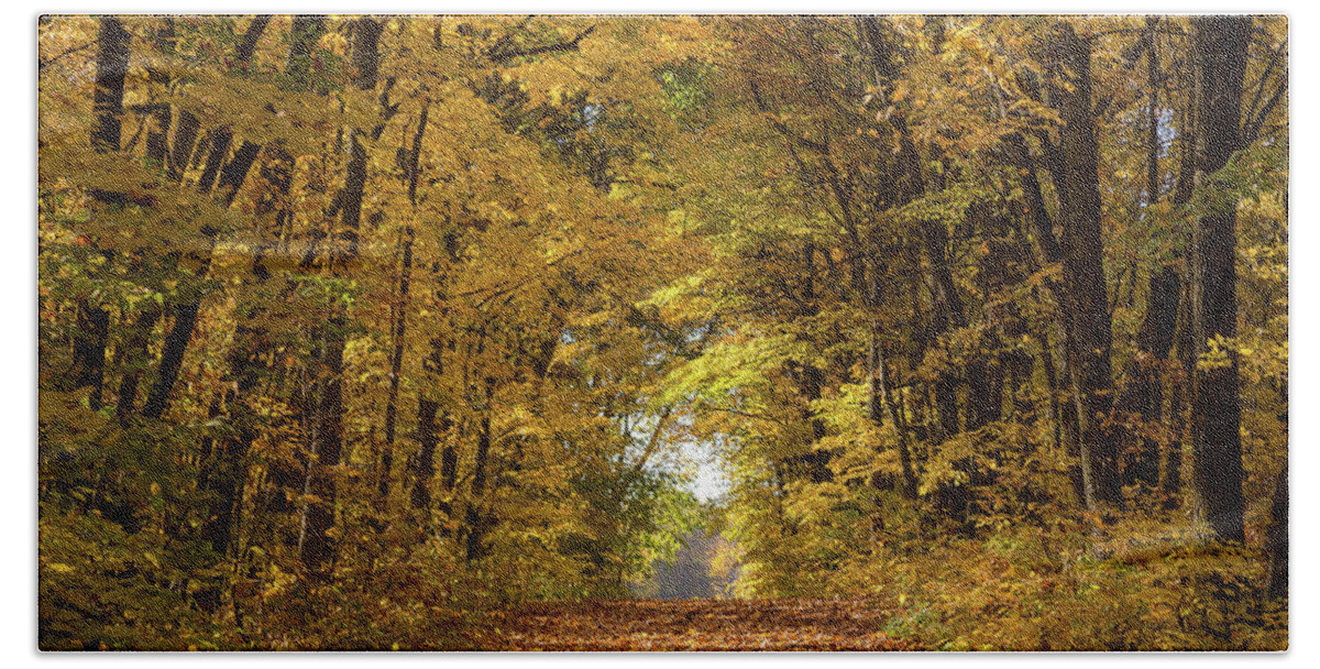 Autumn Hand Towel featuring the photograph Golden Trail by Penny Meyers