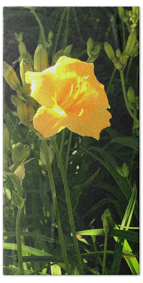  Bath Towel featuring the photograph Golden Yellow Day Lilly by Robert J Sadler