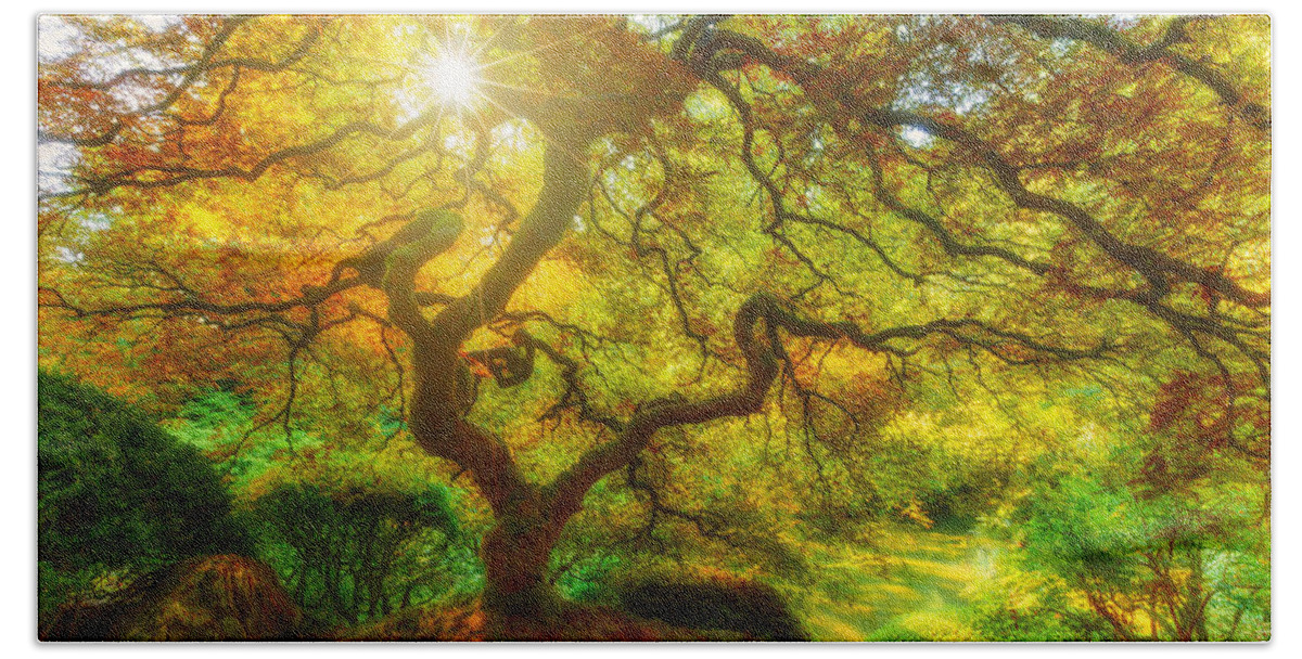 Trees Hand Towel featuring the photograph Good Morning Sunshine by Darren White
