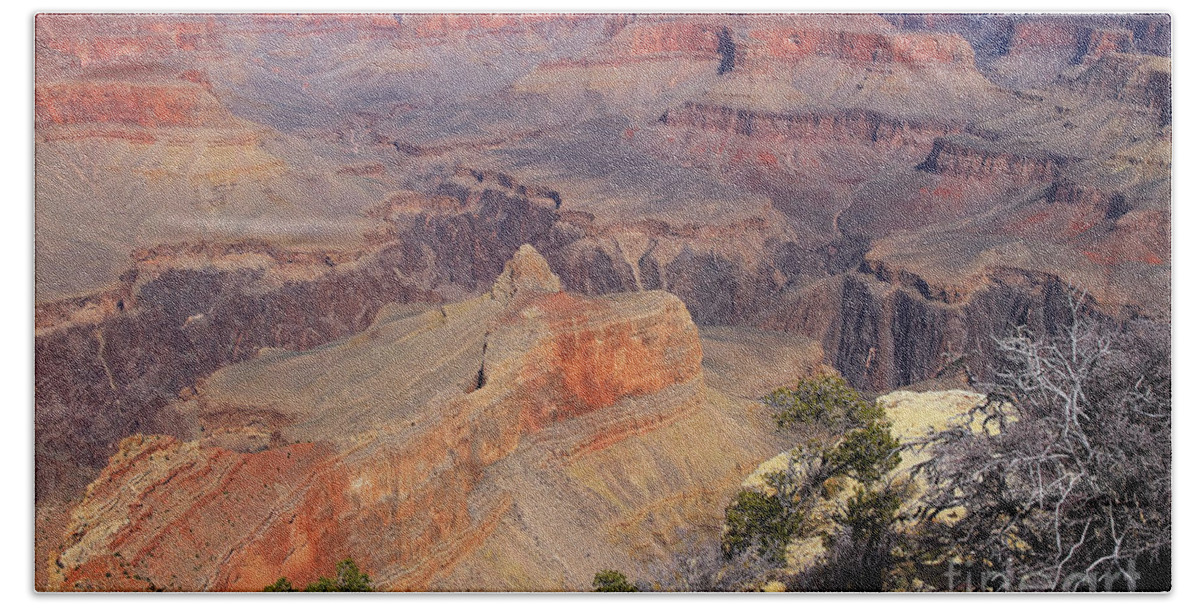 Grand Canyon. South Rim Hand Towel featuring the photograph Grand Canyon I by Teresa Zieba