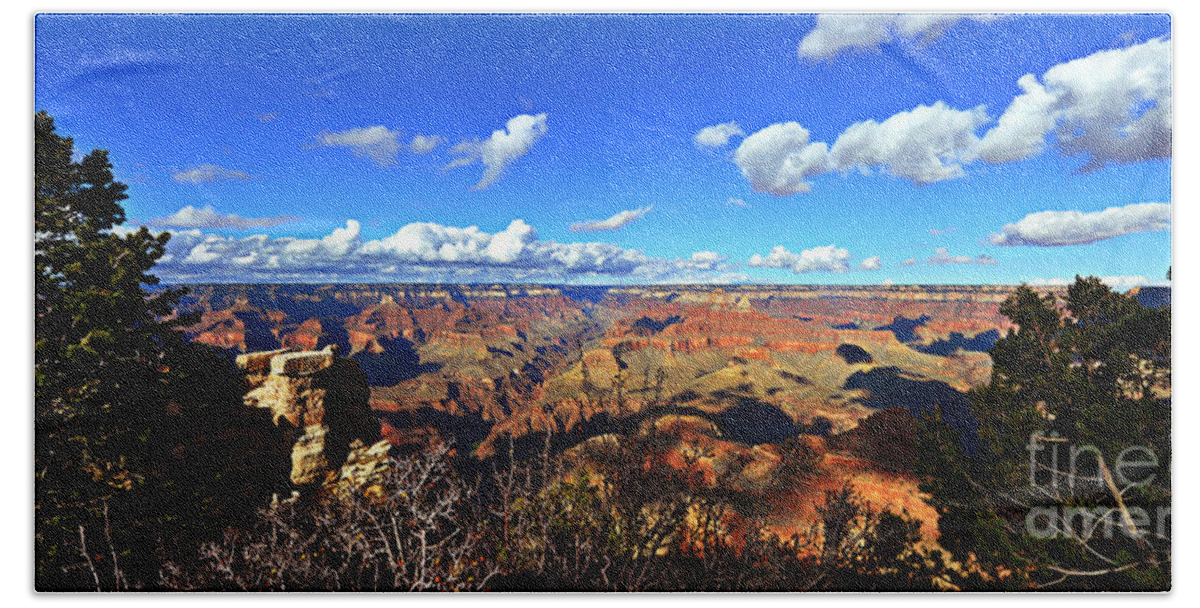 United States Of America Bath Towel featuring the photograph Grand Canyon USA by Eric Liller