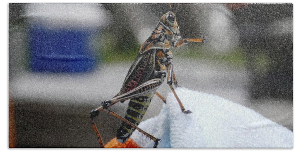 Amazing #colors Bath Towel featuring the photograph Dancing Grasshopper at the Pool by Belinda Lee