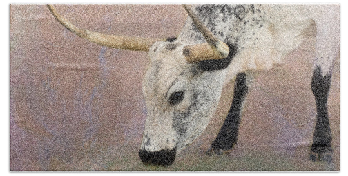 Texas Longhorn Hand Towel featuring the photograph Grazing by Betty LaRue