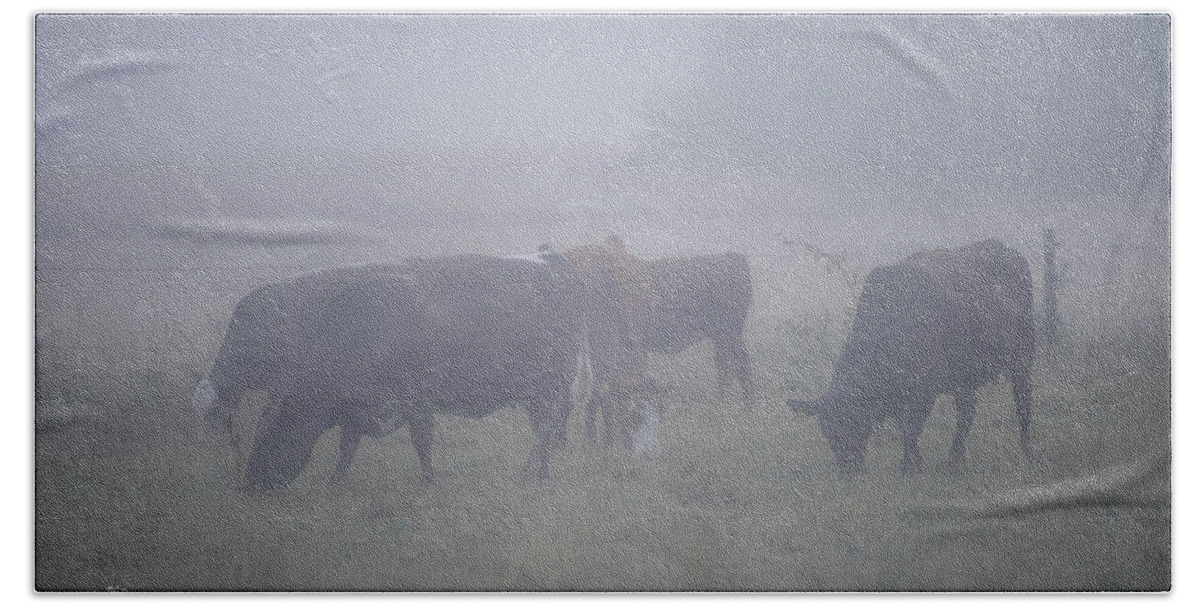 Cows Bath Towel featuring the photograph Grazing cows in the mist by Torbjorn Swenelius