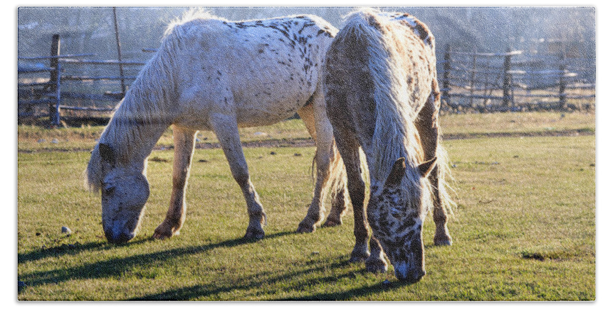 Horse Bath Towel featuring the photograph Grazing Dappled Horses in Altai by Victor Kovchin
