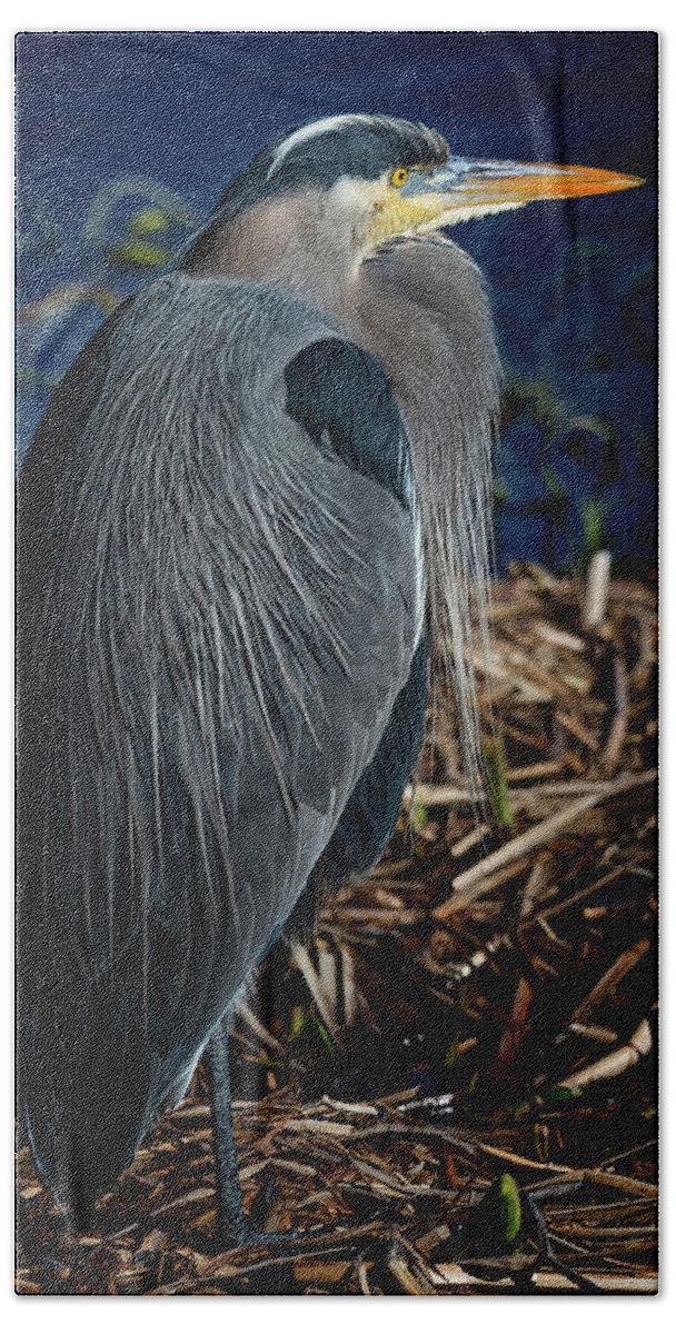 Great Blue Heron Hand Towel featuring the photograph Great Blue Heron 2 by Randy Hall