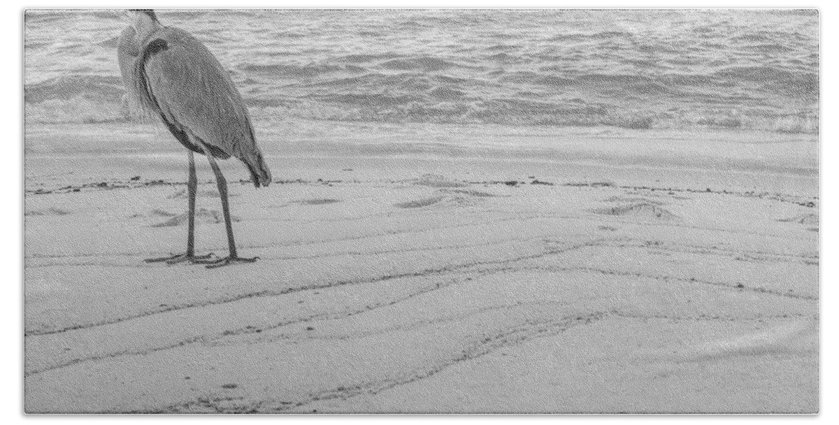 Alabama Bath Towel featuring the photograph Great Blue Heron Black and White by John McGraw