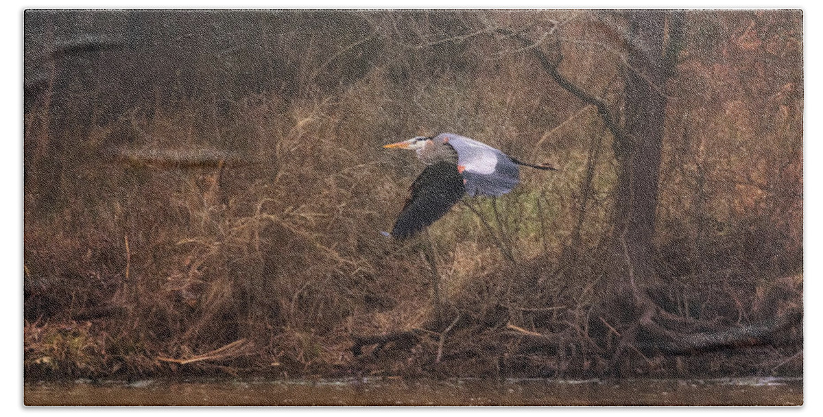 Great Blue Heron Bath Towel featuring the photograph Great Blue Heron in Flight by Susan Rissi Tregoning