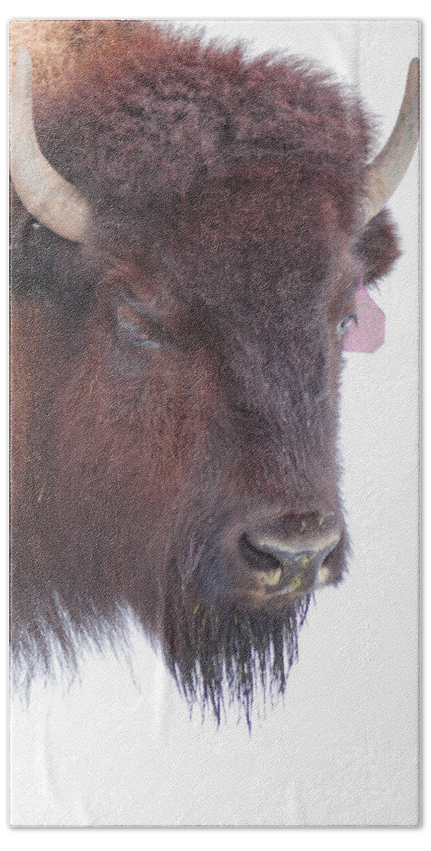 Mountains Bath Towel featuring the photograph Great Buffalo by Sean Allen