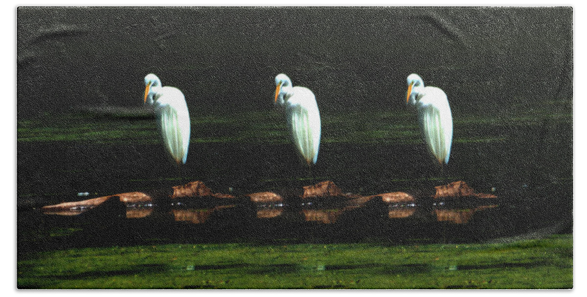 Great Egret Bath Towel featuring the photograph Great Egret Art II by Ed Peterson