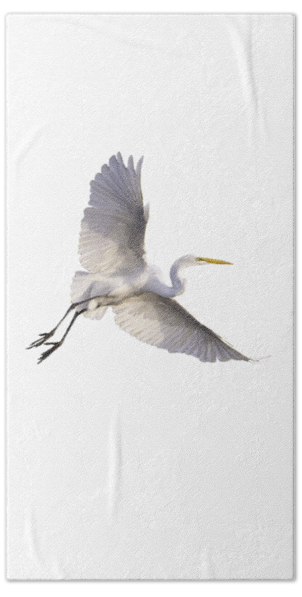 Bird Hand Towel featuring the photograph Great Egret png by Jeff Phillippi