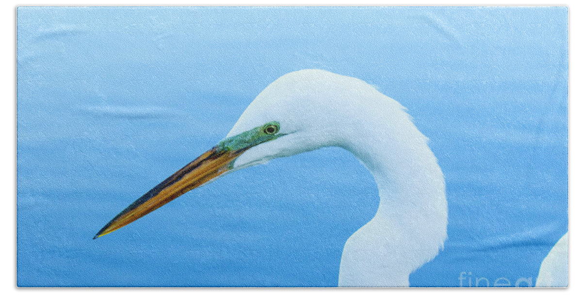 Great Egret Bath Towel featuring the photograph Great Egret Profile 2 by Ben Graham