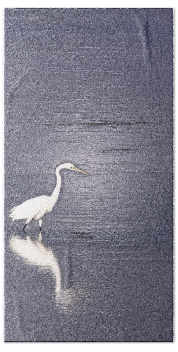 Great Egret Bath Towel featuring the photograph Great Egret by Steven Sparks