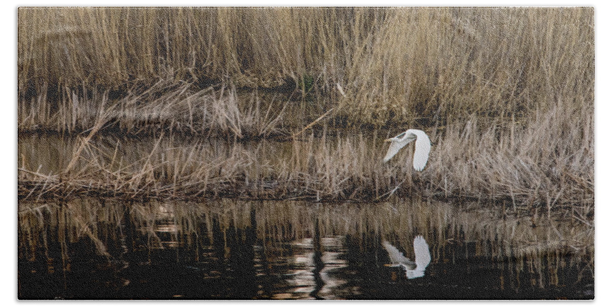 Great Egret Bath Towel featuring the photograph Great Egret's flight to a new position by Torbjorn Swenelius