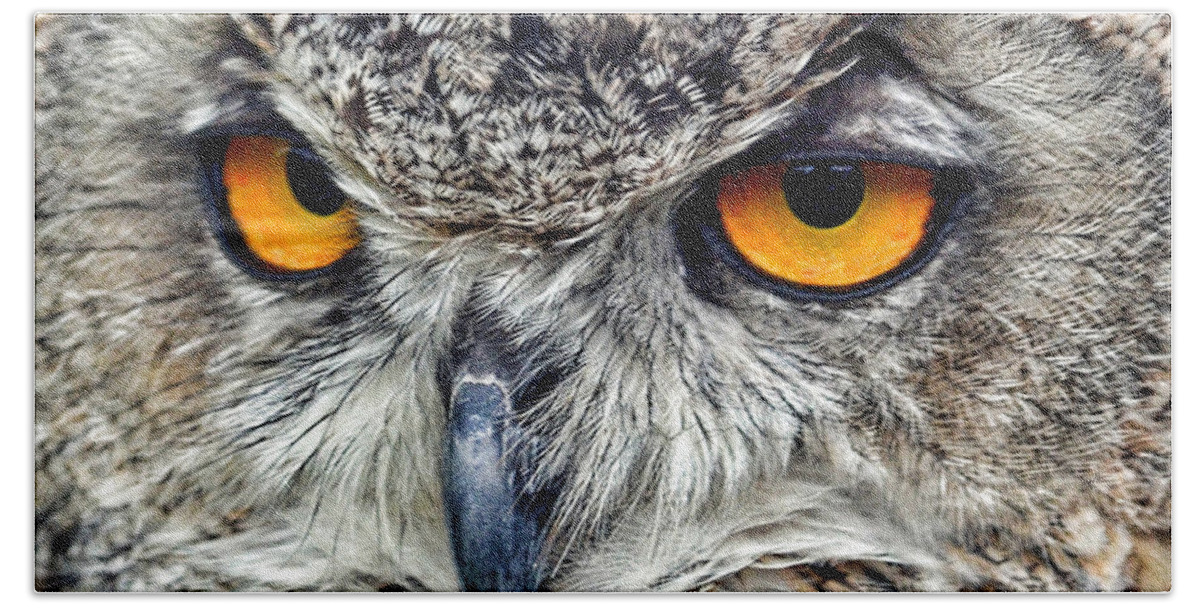 Jim Fitzpatrick Bath Sheet featuring the photograph Great Horned Owl Closeup by Jim Fitzpatrick