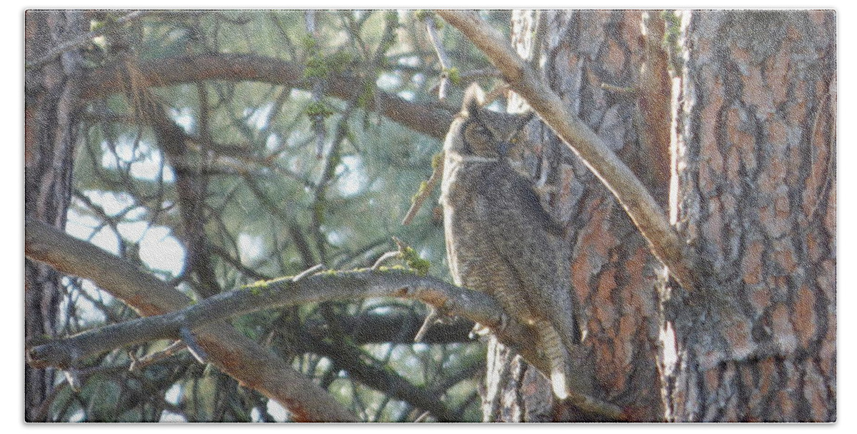 Great Horned Owl Bath Towel featuring the photograph Great Horned Owl in a tree by Charles Robinson