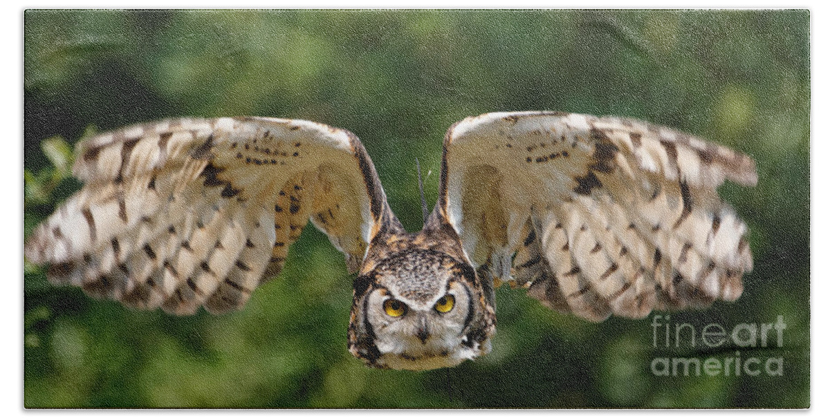Great Horned Owl Hand Towel featuring the photograph Great Horned Owl - In Flight by Sue Harper