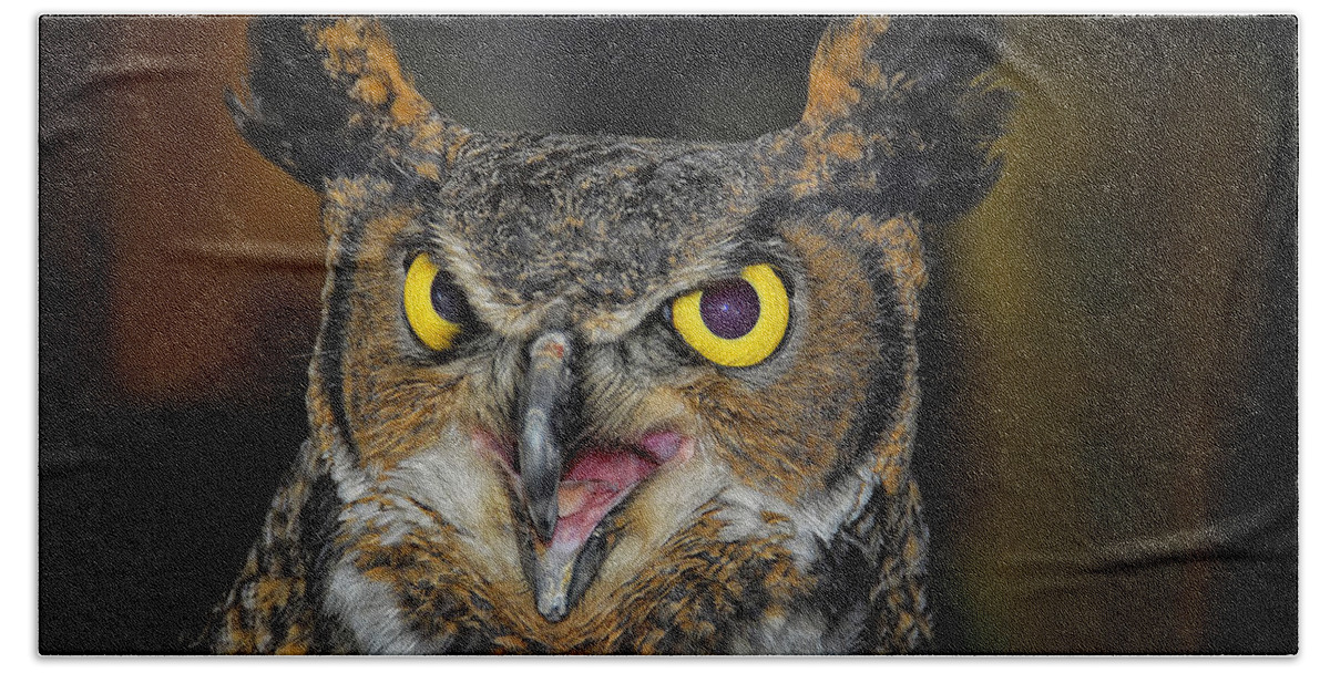 Owl Bath Towel featuring the photograph Great Horned Owl by Peg Runyan