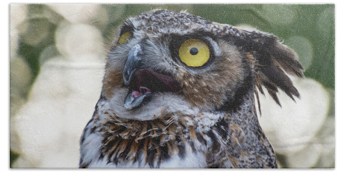 Great Horned Owl Bath Towel featuring the photograph Great Horned Owl Portrait by Stephen Johnson