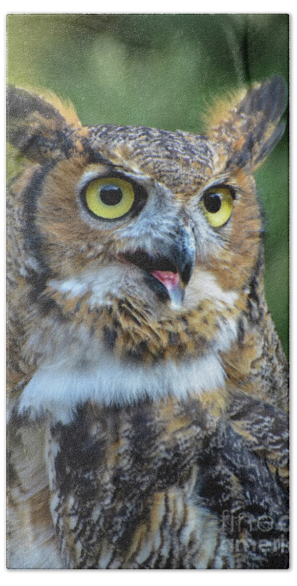 Great Horned Owl Bath Towel featuring the photograph Great Horned Owl Smiling by Amy Porter