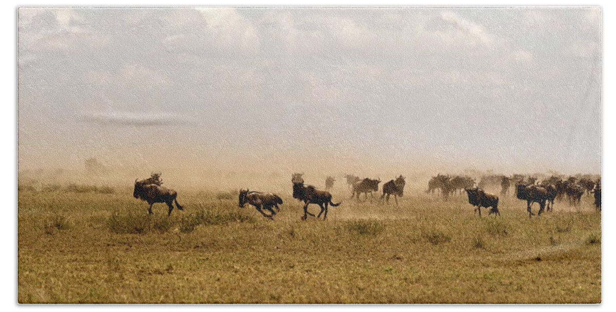 Migration Bath Towel featuring the photograph Great Migration by RicardMN Photography