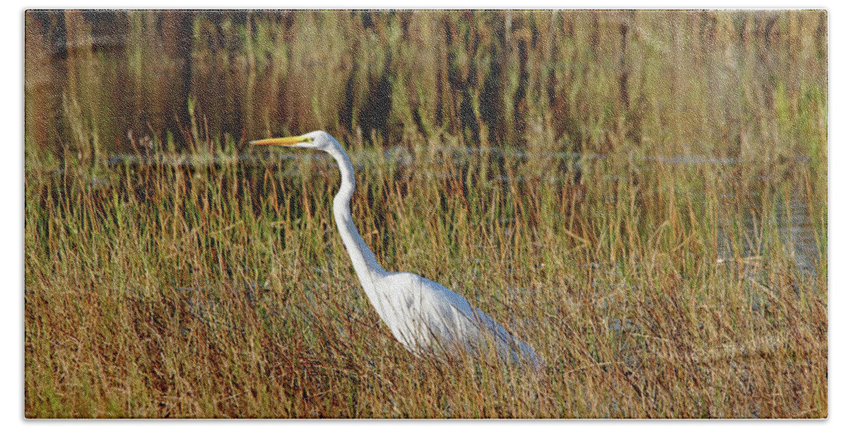Great Egret Bath Towel featuring the photograph Great White Egret Hunting by Debbie Oppermann