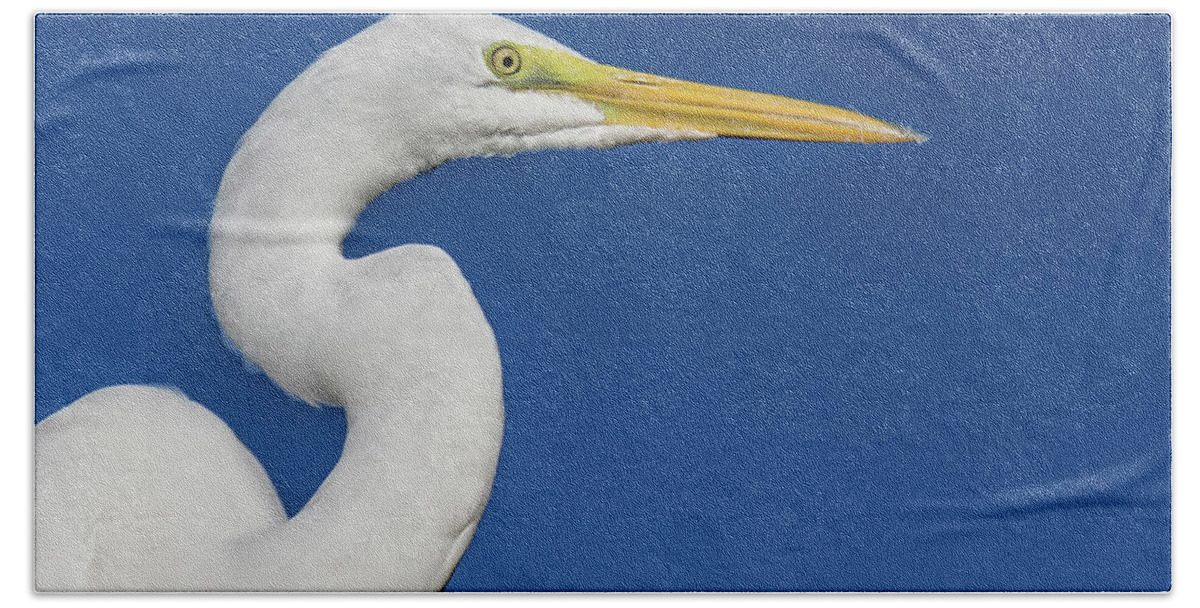 Great White Heron Hand Towel featuring the photograph Great White Heron by Louise Lindsay