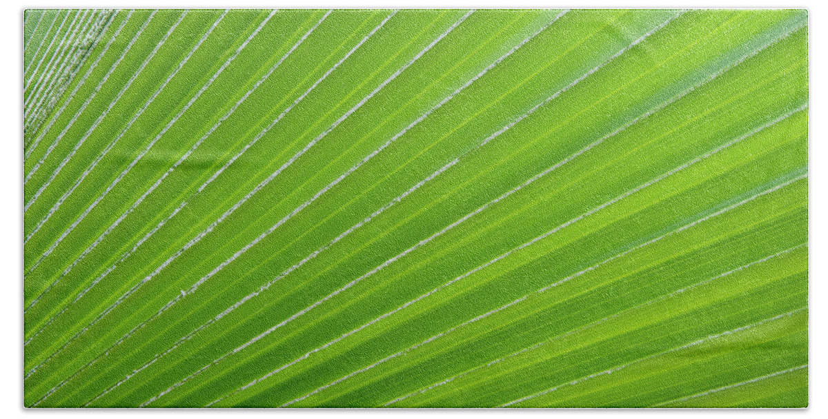 Leaf Bath Towel featuring the photograph Green Abstract No. 1 by Helen Jackson