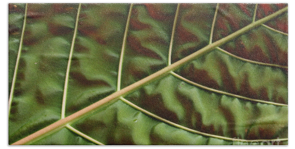 Hawaiian Lilly Pads Bath Towel featuring the photograph Green and Red Leaf Silky Dunes 1 by Jennifer Bright Burr