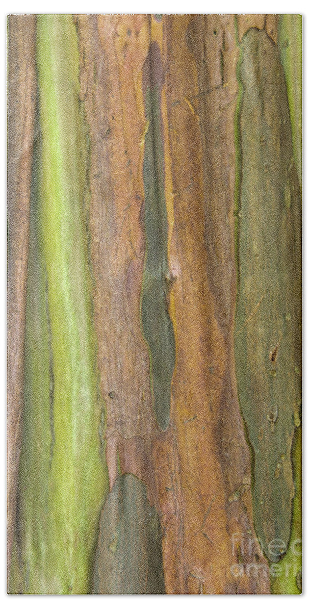 Tree Bath Towel featuring the photograph Green Bark 3 by Werner Padarin