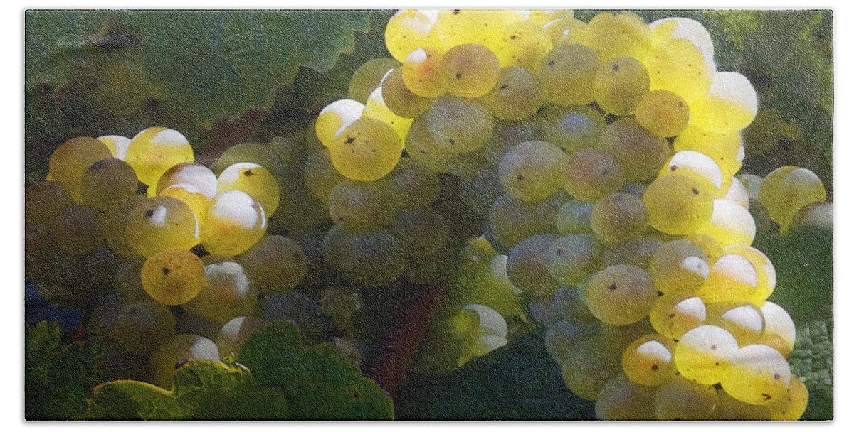 Grape Bath Towel featuring the photograph Green Grapes by Sharon Foster