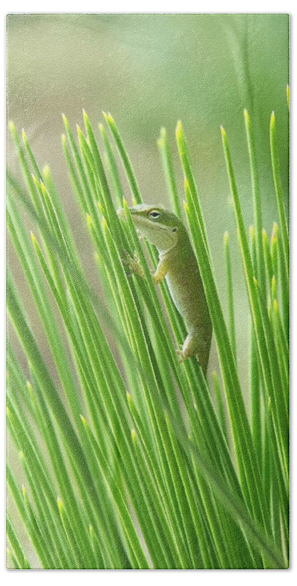 Nature Bath Towel featuring the photograph Green is Good by Peggy Urban