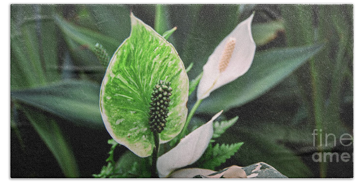 Garden Bath Towel featuring the photograph Green by Russell Brown