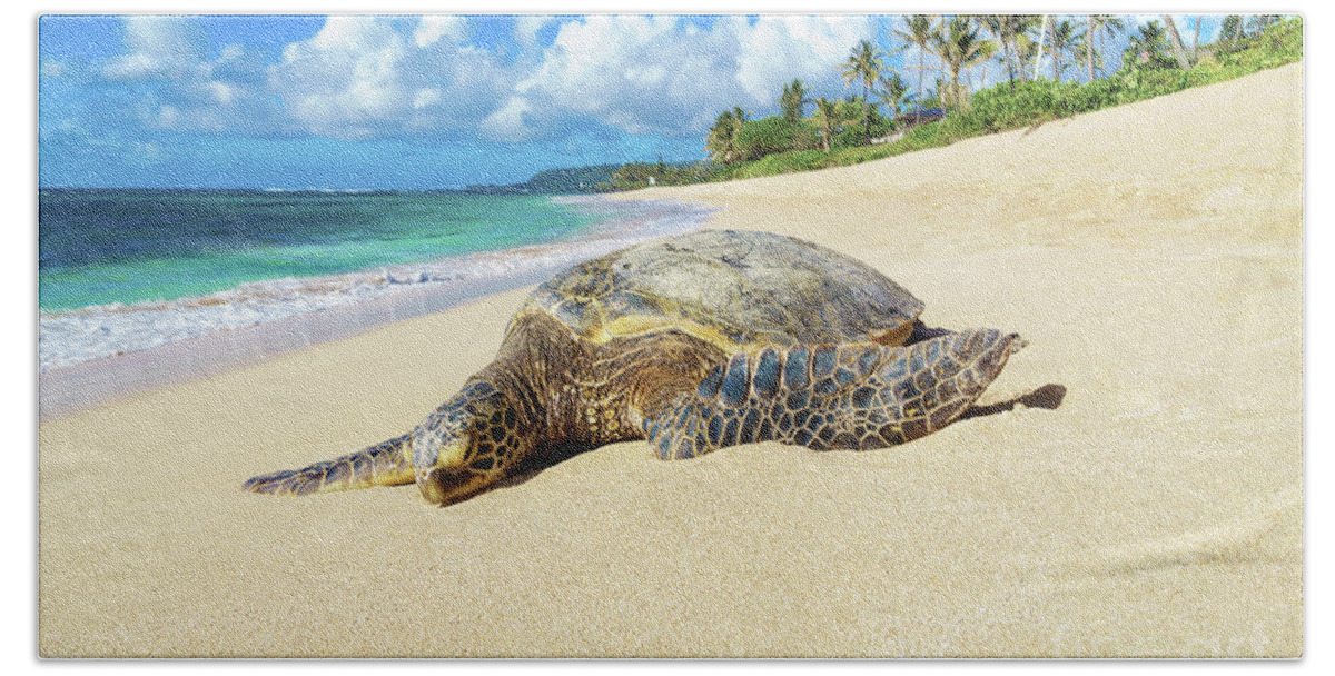 North Shore Hand Towel featuring the photograph Green Sea Turtle Hawaii by Hans- Juergen Leschmann
