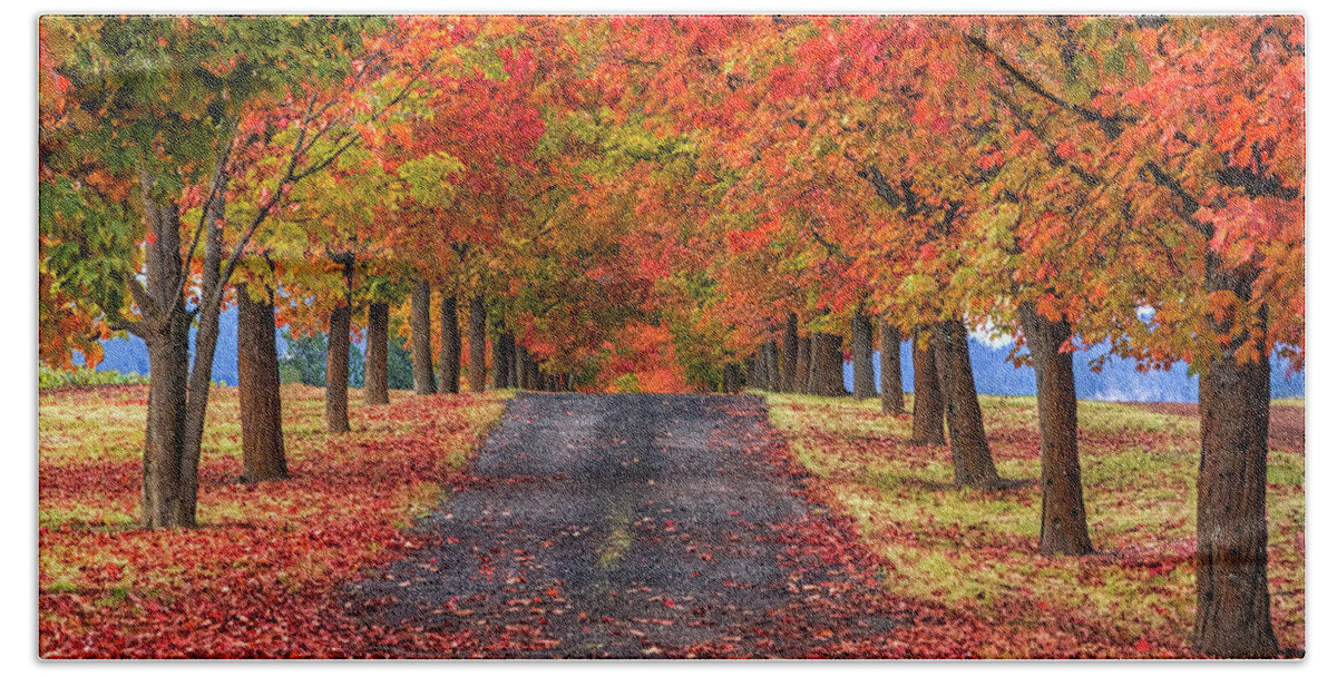 Greenbluff Hand Towel featuring the photograph Greenbluff Autumn by Mark Kiver