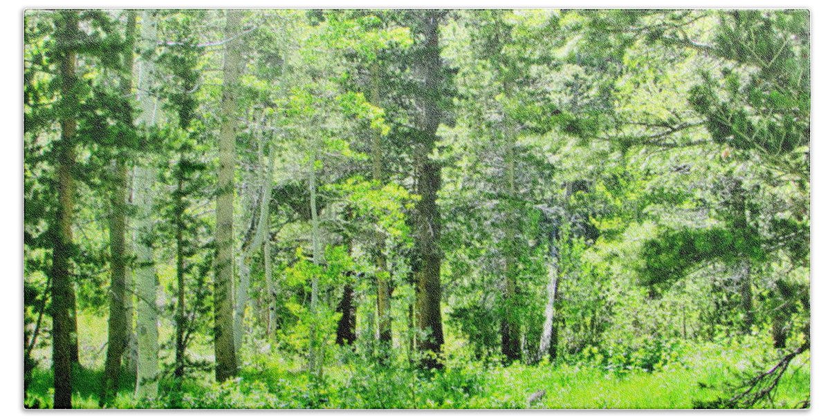 Forest Hand Towel featuring the photograph Greens by Marilyn Diaz