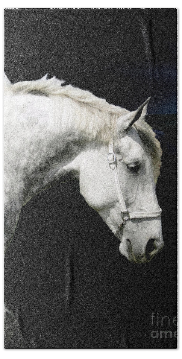 Grey Hand Towel featuring the photograph Grey Percheron Beauty II by Al Bourassa