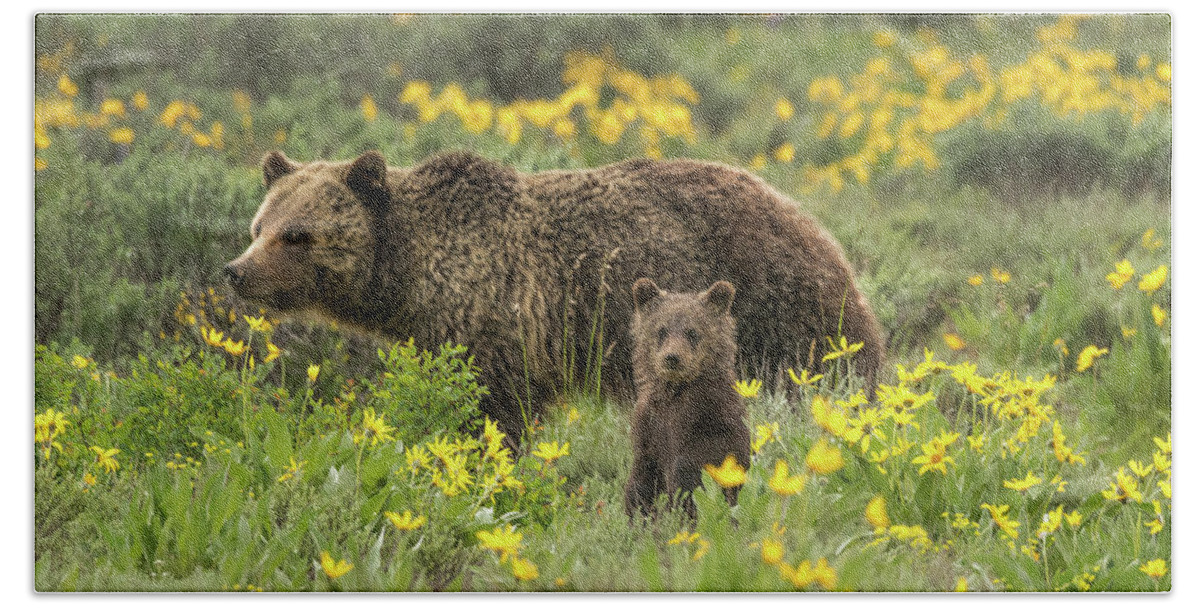Grizzlies Bath Towel featuring the photograph Grizzlies In The Wildflowers by Yeates Photography