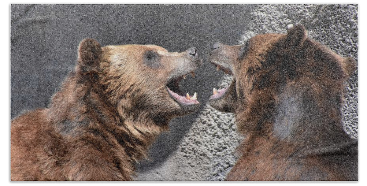 Grizzly Bear Bath Towel featuring the photograph Grizzlies' Playtime 6 by Flo McKinley