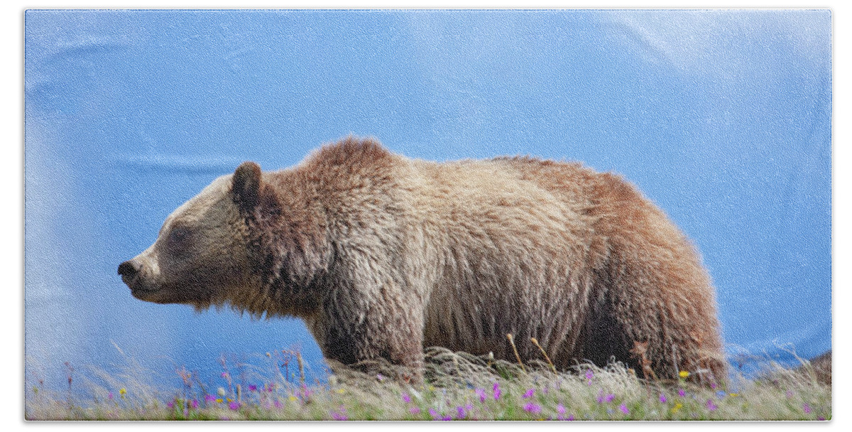 Mark Miller Photos Bath Towel featuring the photograph Grizzly and Blue Sky by Mark Miller